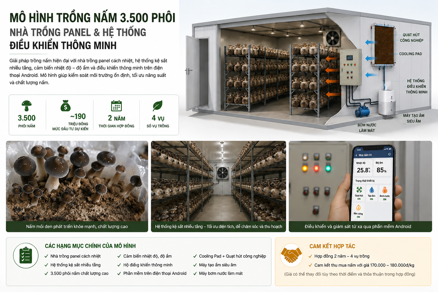 Nấm mối đen phát triển trên giá thể sơ dừa